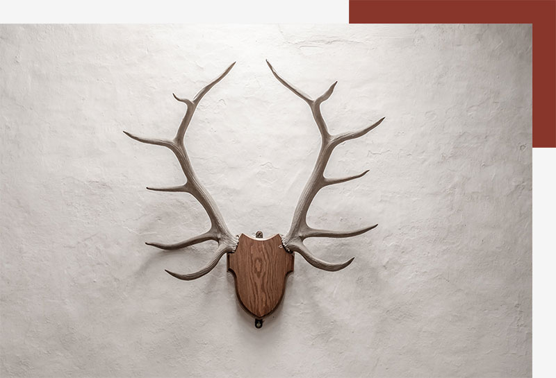 How To Outfit A Trophy Room