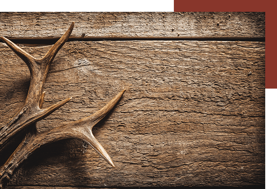 How To Outfit A Trophy Room