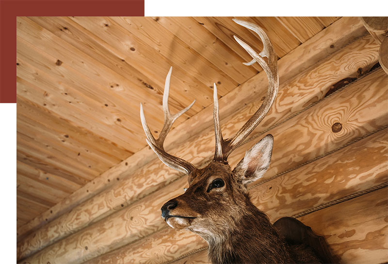 Design Of Trophy Room