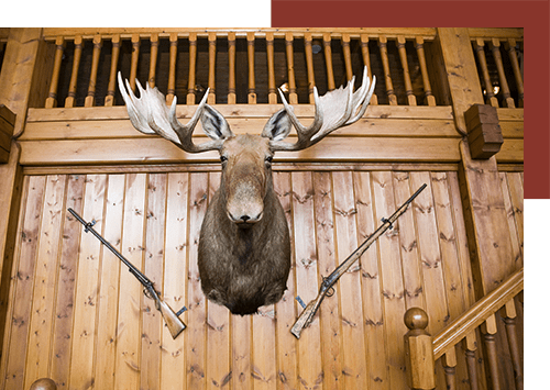 Design Of Trophy Room